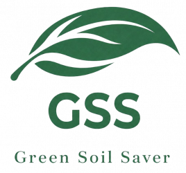 GSS México